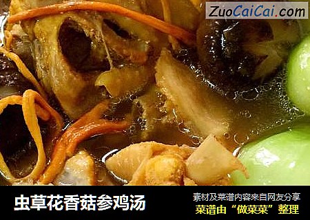 虫草花香菇参鸡汤