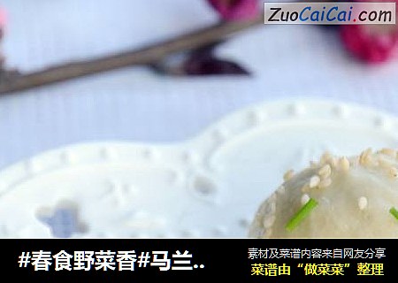 #春食野菜香#马兰头鲜肉生煎