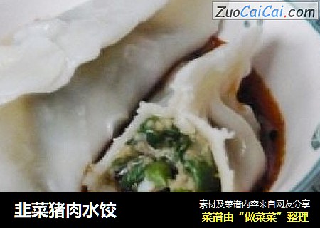 韭菜猪肉水饺