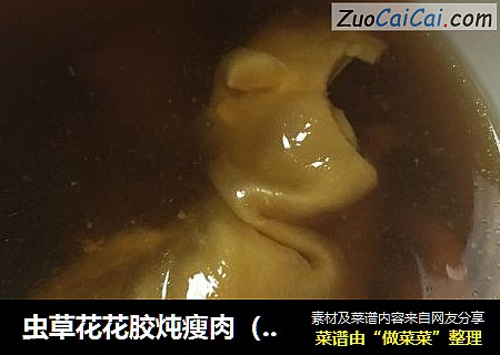 虫草花花胶炖瘦肉（养颜滋补）