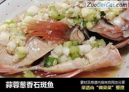 蒜蓉葱香石斑鱼