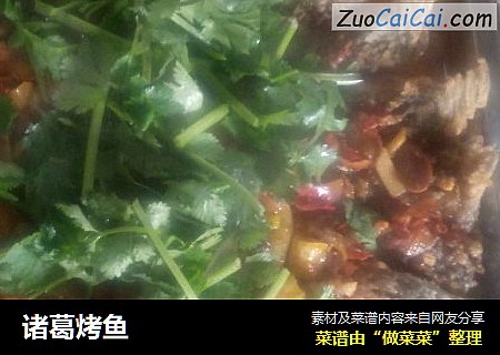诸葛烤鱼