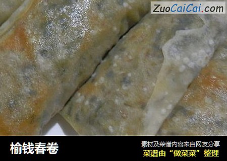 榆钱春卷