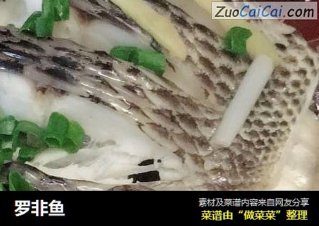 罗非鱼
