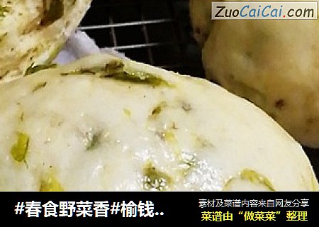 #春食野菜香#榆钱馒头