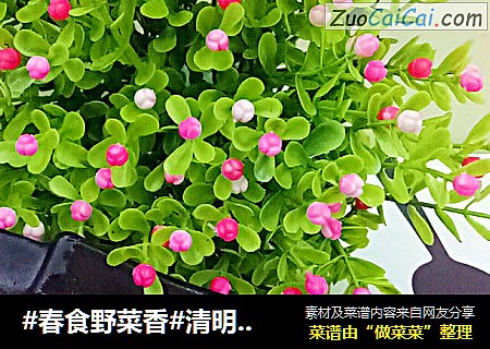 #春食野菜香#清明花糍粑