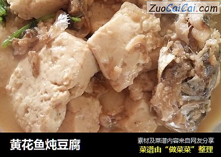 黄花鱼炖豆腐