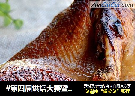 烤鸭cover-5