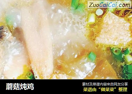 蘑菇炖鸡