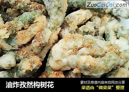 油炸孜然构树花
