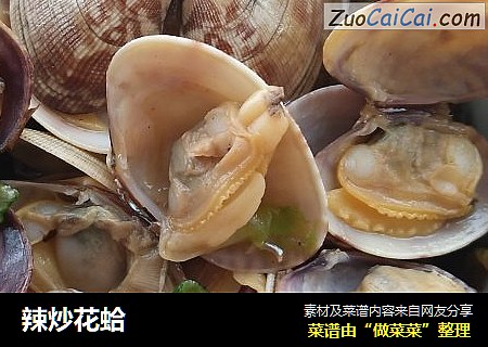 辣炒花蛤