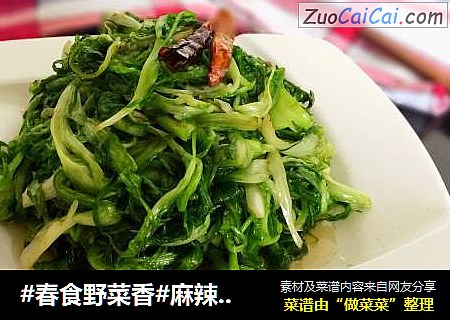 #春食野菜香#麻辣苦菊