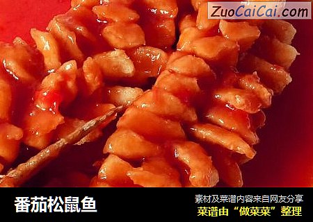 番茄松鼠鱼