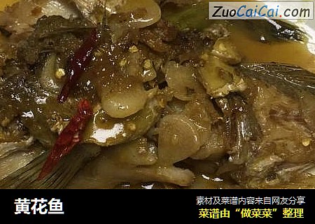 黄花鱼