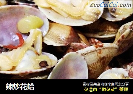 辣炒花蛤