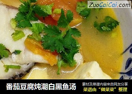 番茄豆腐炖潮白黑鱼汤