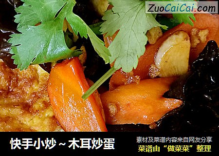 快手小炒～木耳炒蛋