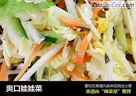 爽口娃娃菜