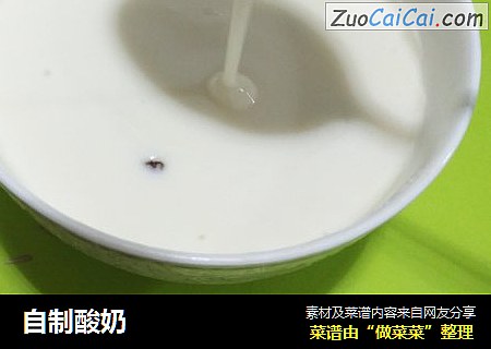 自制酸奶