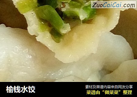 榆钱水饺