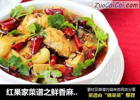 红果家菜谱之鲜香麻辣鱼
