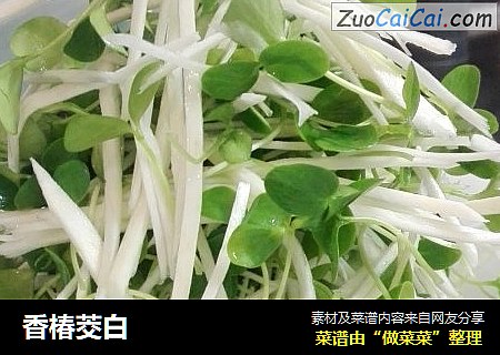 香椿茭白