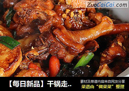 【每日新品】干锅走地鸡煲
