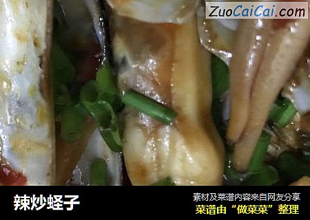 辣炒蛏子
