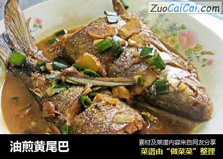 油煎黄尾巴