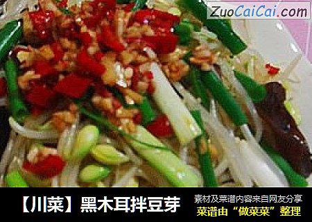 【川菜】黑木耳拌豆芽