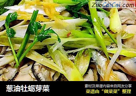 葱油牡蛎芽菜