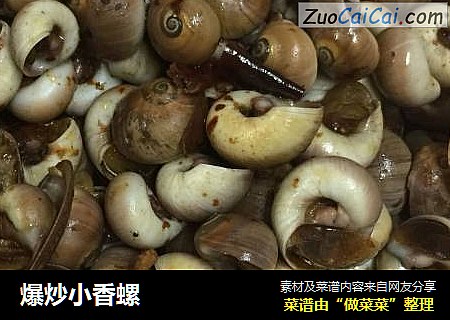 爆炒小香螺