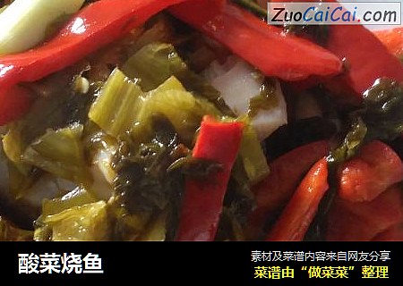 酸菜烧鱼
