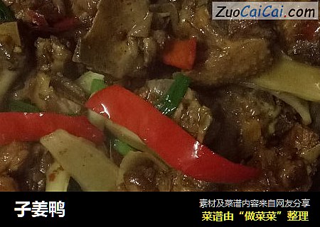 子姜鸭