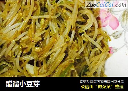 醋溜小豆芽