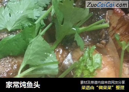 家常炖鱼头