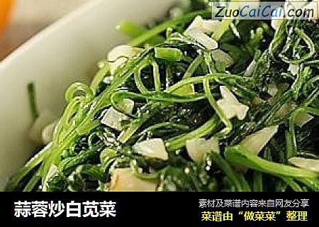 蒜蓉炒白苋菜
