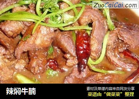 辣焖牛腩