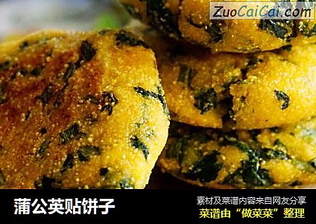 蒲公英贴饼子