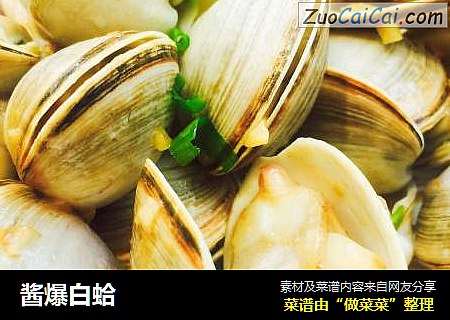 酱爆白蛤