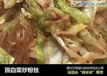 圆白菜炒粉丝