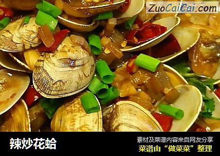 辣炒花蛤