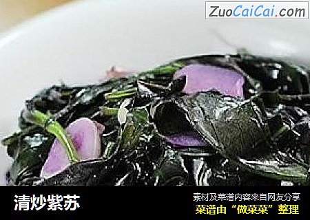 清炒紫苏