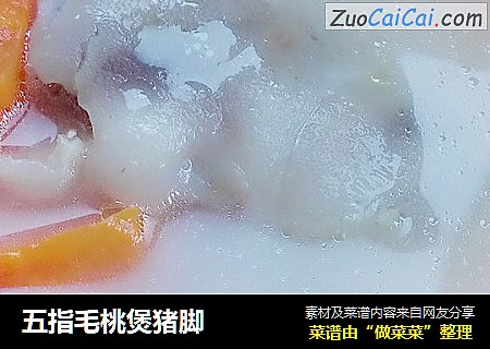 五指毛桃煲猪脚