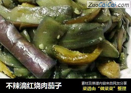 不辣滴红烧肉茄子