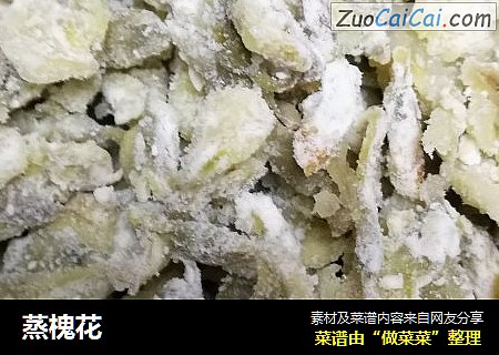 蒸槐花
