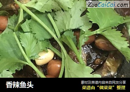 香辣鱼头