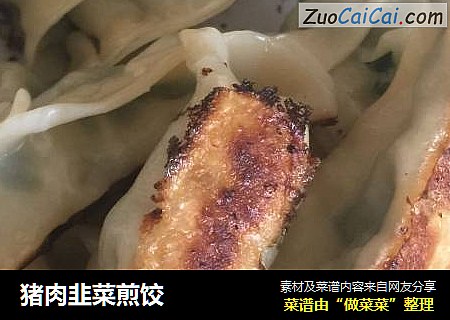 猪肉韭菜煎饺