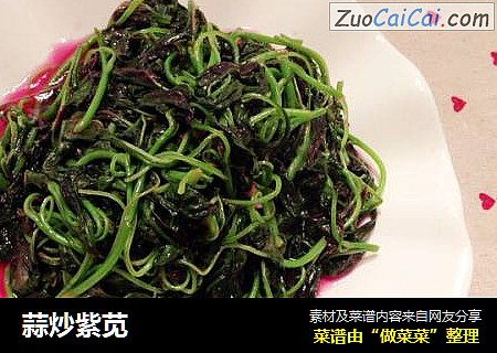 蒜炒紫苋