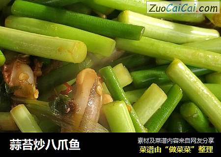 蒜苔炒八爪鱼
